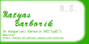 matyas barborik business card